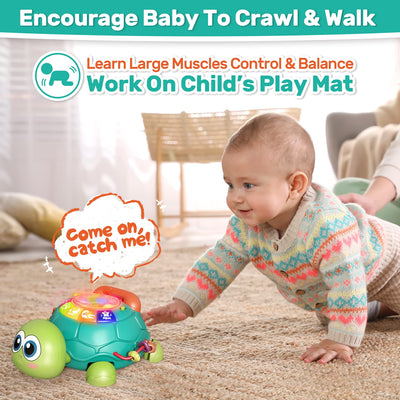 Fidtoy Crawling Turtle Musical Baby Toy