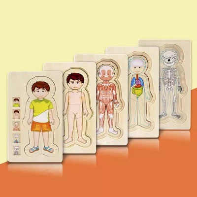 Onshine Puzle de anatomía 3D de madera - Juguetes de motricidad fina