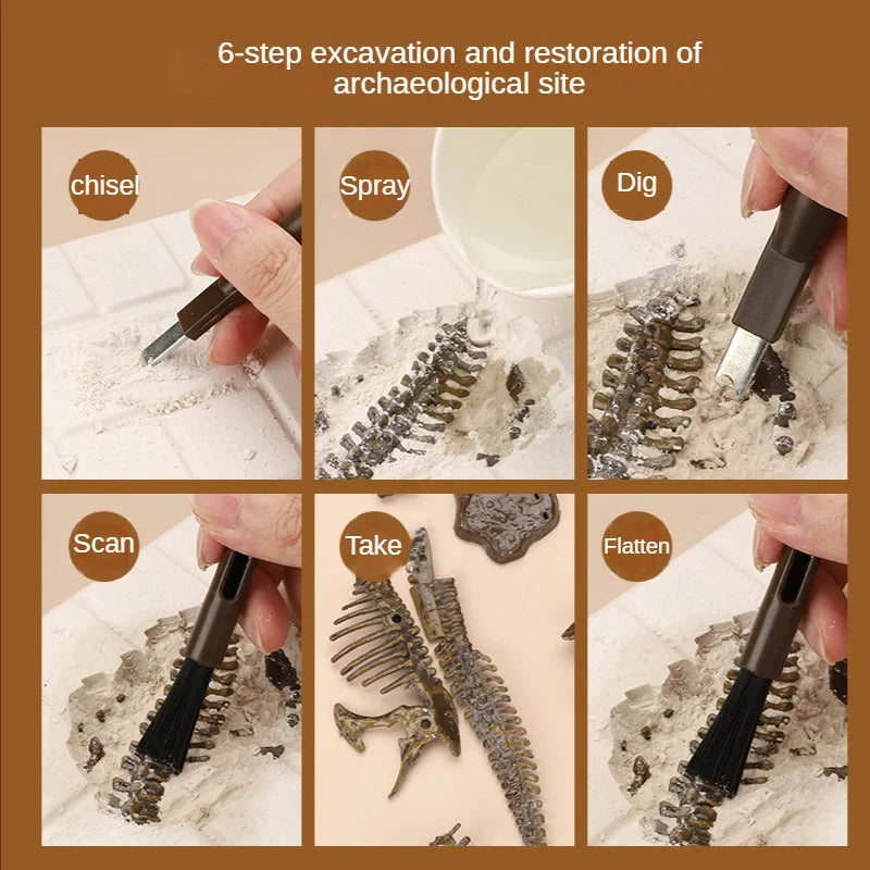 DinoExcava – Emocionante y educativo – Kit de excavación de fósiles