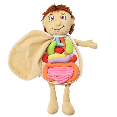 Montessori Anatomy Doll-Best montessori toys