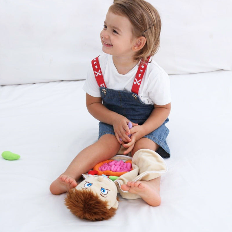 Montessori Anatomy Doll-Best montessori toys