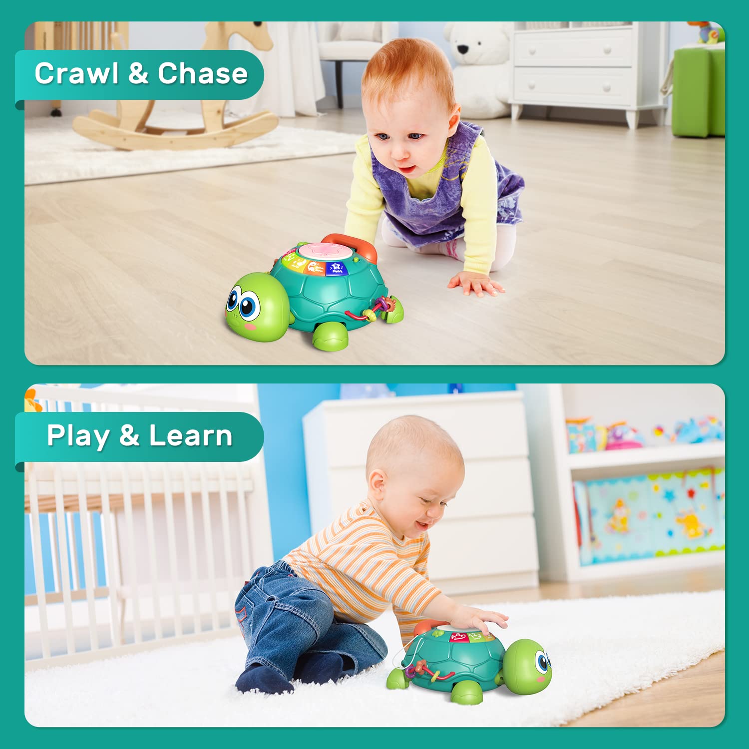 Fidtoy Crawling Turtle Musical Baby Toy