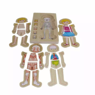 Onshine Puzle de anatomía 3D de madera - Juguetes de motricidad fina