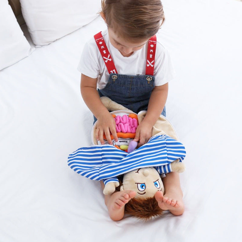 Montessori Anatomy Doll-Best montessori toys