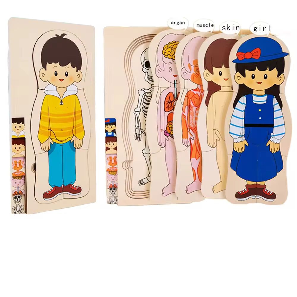Multilayer Wooden Human Anatomy Puzzle - 5 Layer Sequencing Educational Toy