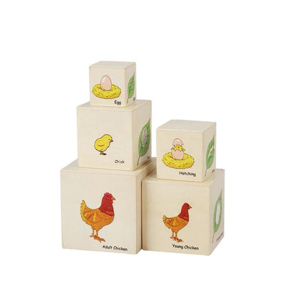 Life Cycle Stacking Cubes - Chicken, Frog, Butterfly, and Moth