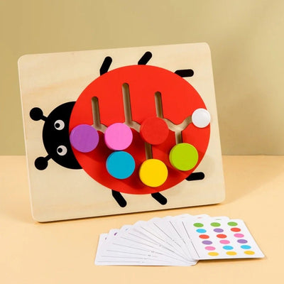 Montessori Color Matching Slide Puzzle – Educational Logic Board Game for Toddlers