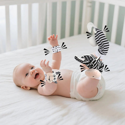 Black & White Sensory Toys for Newborns 0-6M - Early Development Set