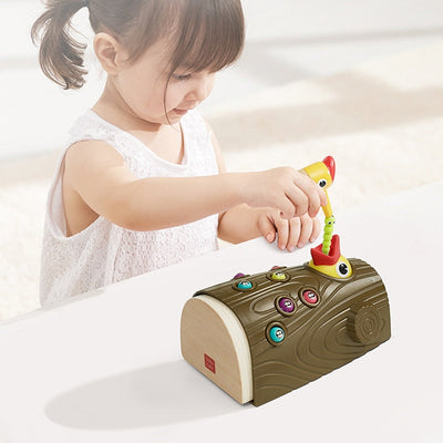 Pájaro carpintero Montessori