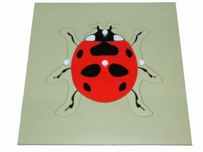 Puzzles d'animaux Montessori Tortue Oiseau Grenouille Cheval Poisson Coq Coccinelle Papillon Jouet éducatif en bois pour la maternelle et la petite enfance