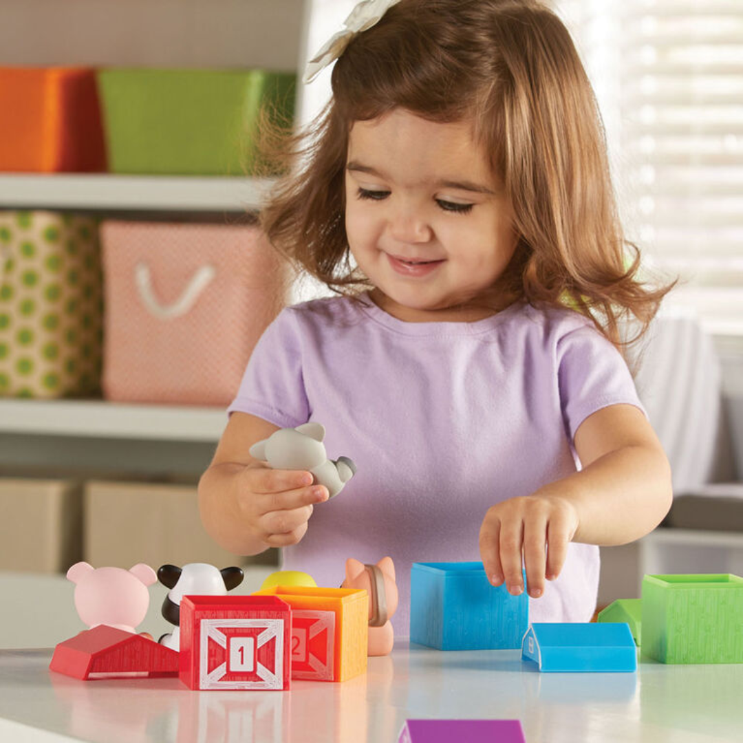 Fidtoy Montessori Farm Animal Set for Toddler Learning (20pcs)