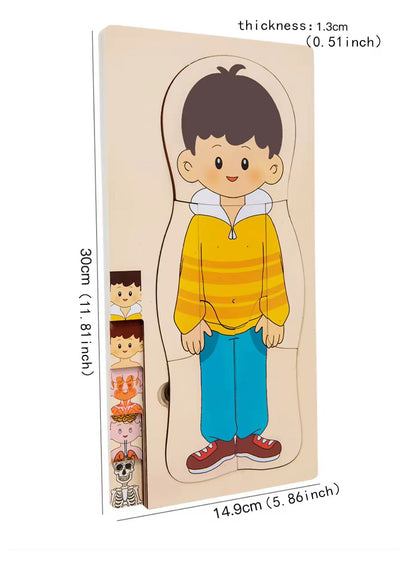 Multilayer Wooden Human Anatomy Puzzle - 5 Layer Sequencing Educational Toy